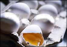 Англичане изобрели "крутые" яйца